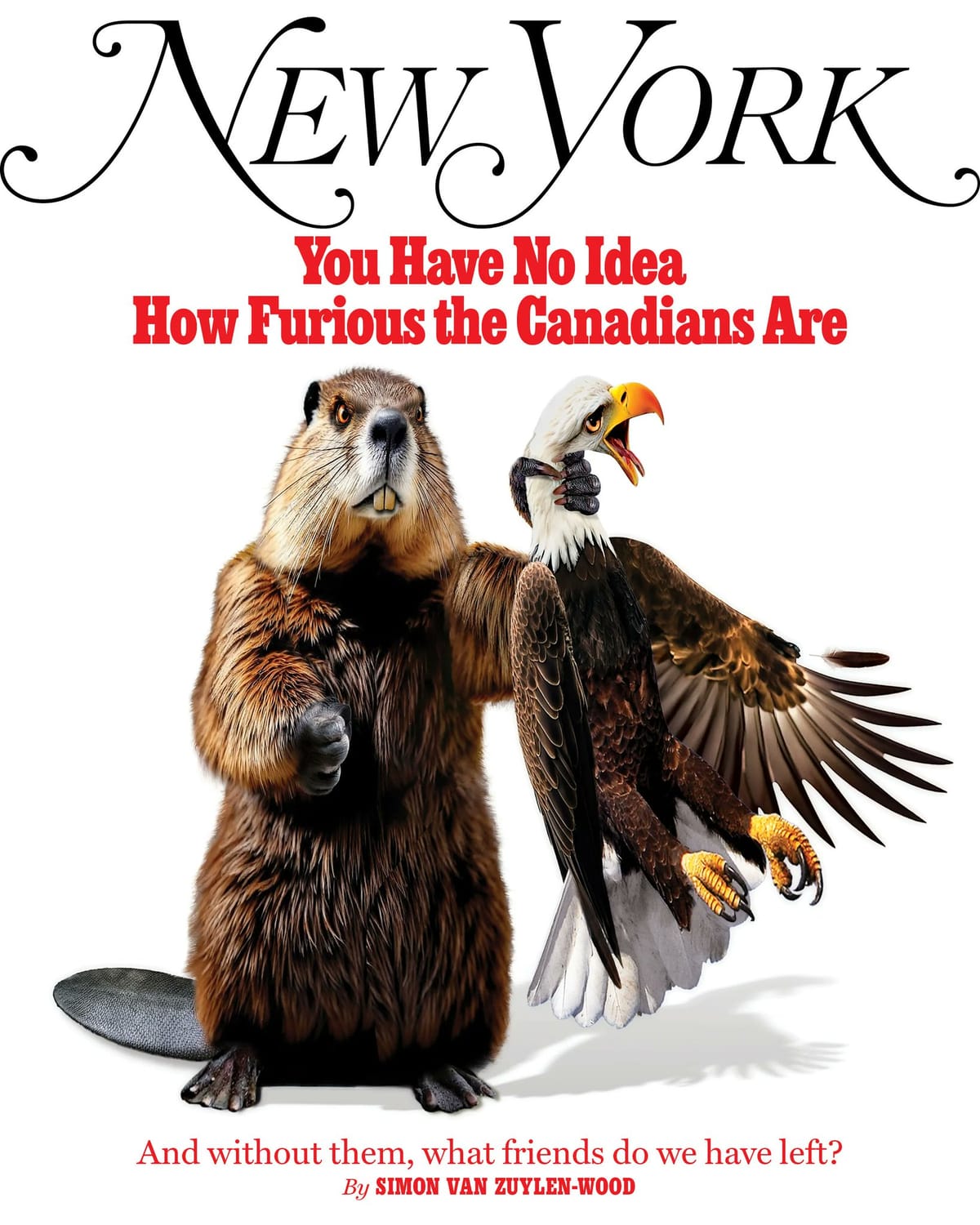 Magazine cover with image of a beaver throttling a bald eagle and saying "You Have No Idea How Furious the Canadians Are; And without them, what friends do we have left?